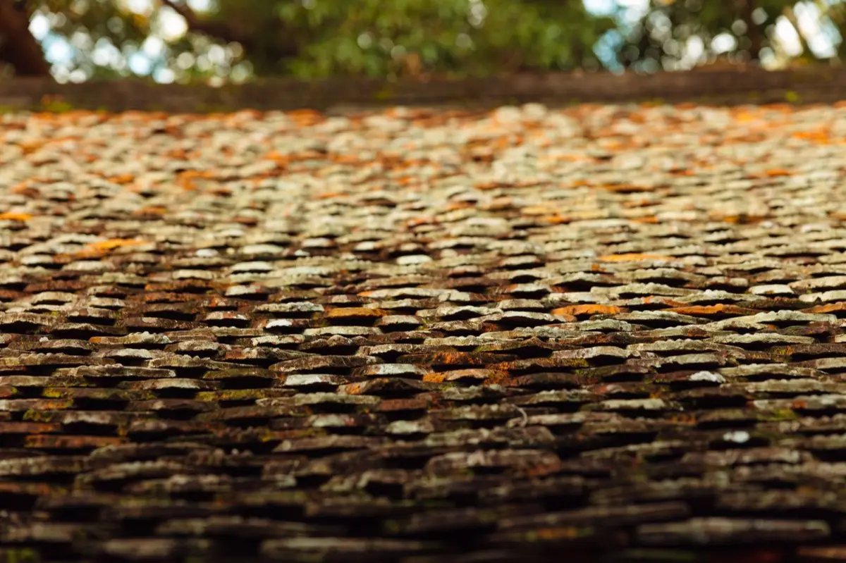 Roof Leak Repair in El Monte, CA